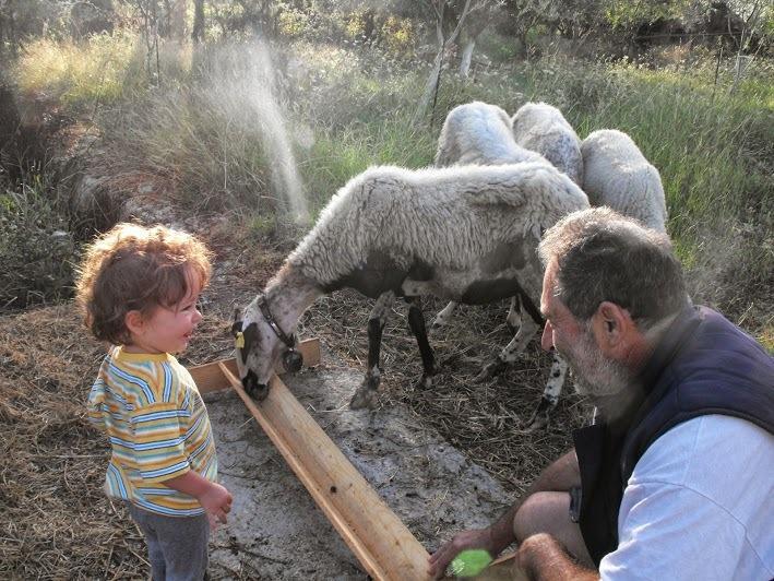Spasmeni Vrisi Lygia (Lefkada)