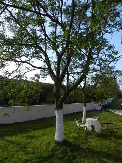 Apartment Spasmeni Vrisi *